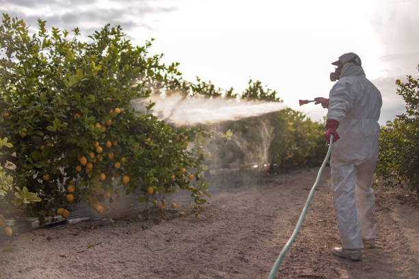 Best Pest Control Near Me  in Carrollton, TX