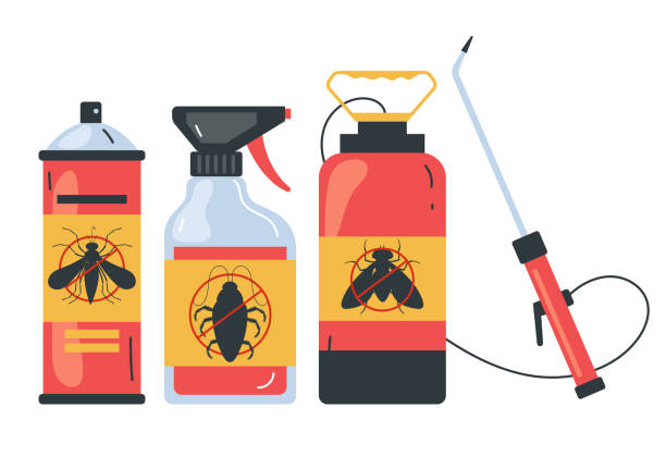 Best Spider Control Near Me  in Carrollton, TX