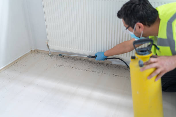 Best Pest Inspection Near Me  in Carrollton, TX